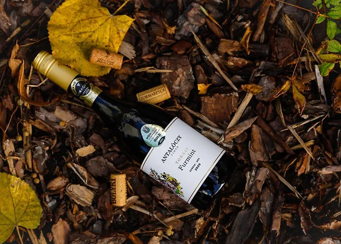 Lumen Gasztropanzio 4* Eger